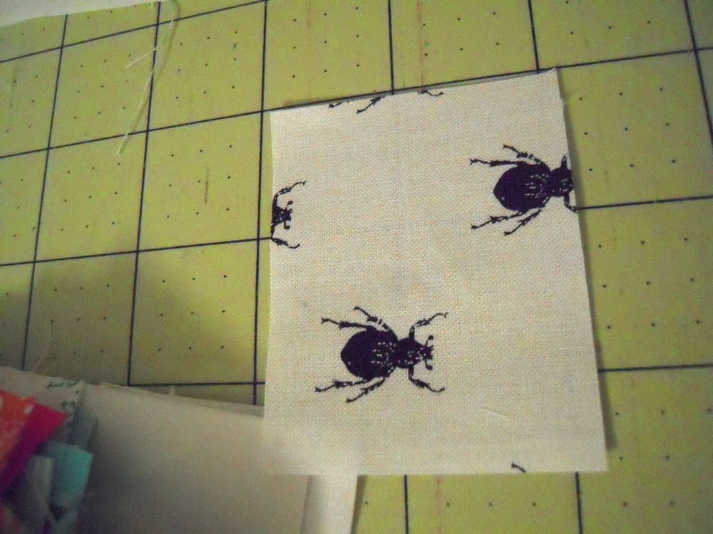 weevils on fabric